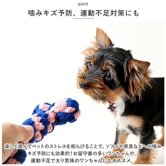 バックヤードファミリー BACKYARD FAMILY ペットおもちゃ pkbq012【返品不可商品】 （ペットおもちゃストロベリー） ペットおもちゃストロベリー