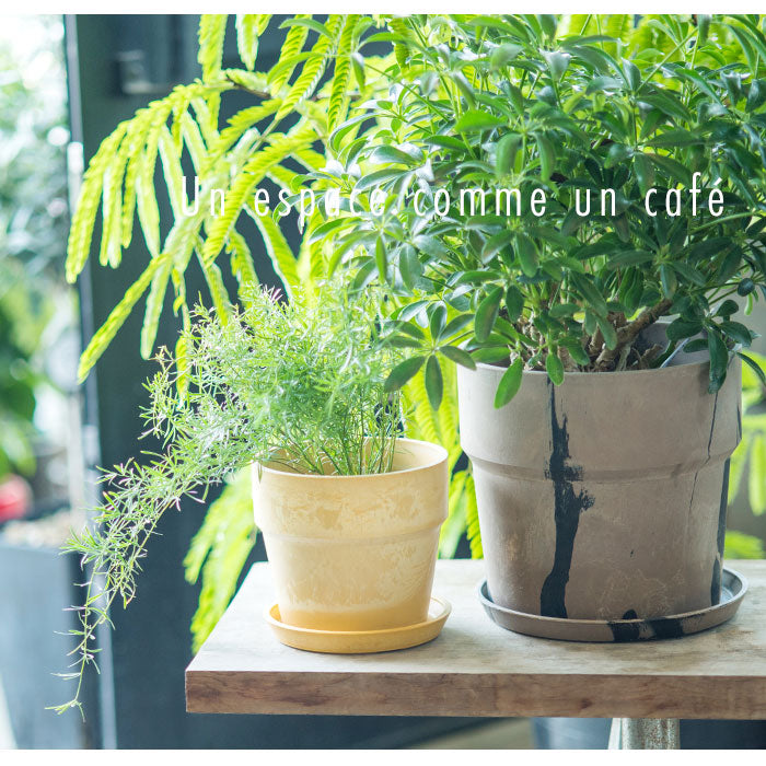 バックヤードファミリー BACKYARD FAMILY アーバンプランツポット マーブル ソリッド 6号サイズ （81005.シナモン） 81005.シナモン