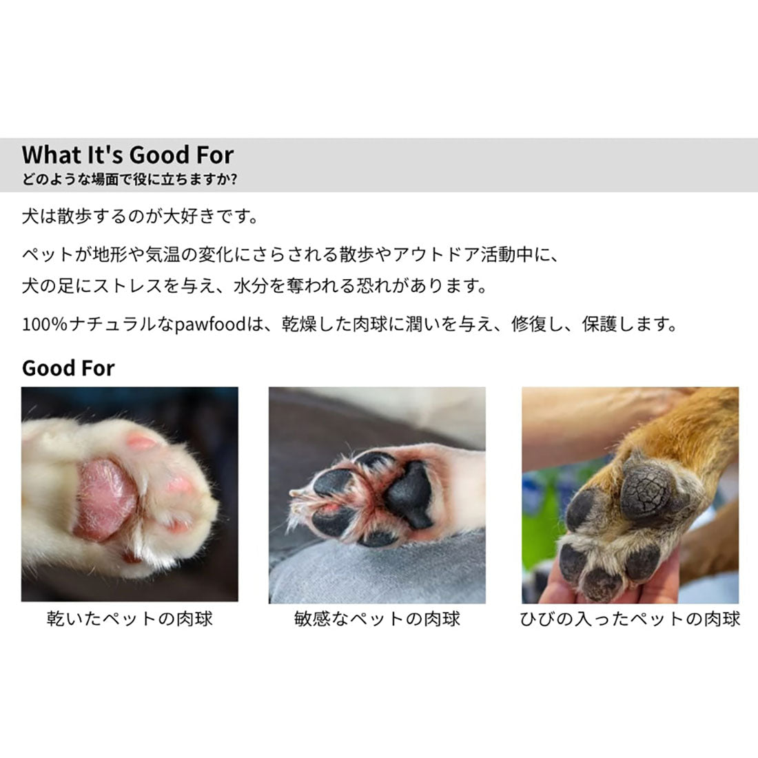 バックヤードファミリー BACKYARD FAMILY pawfoodワックス 【返品不可商品】 （lightyellow） lightyellow