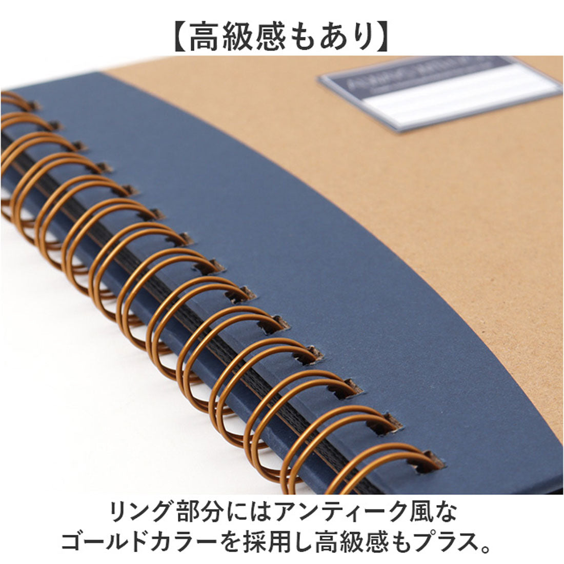 バックヤードファミリー BACKYARD FAMILY 飾れるリングフォトアルバム （イエロー） イエロー