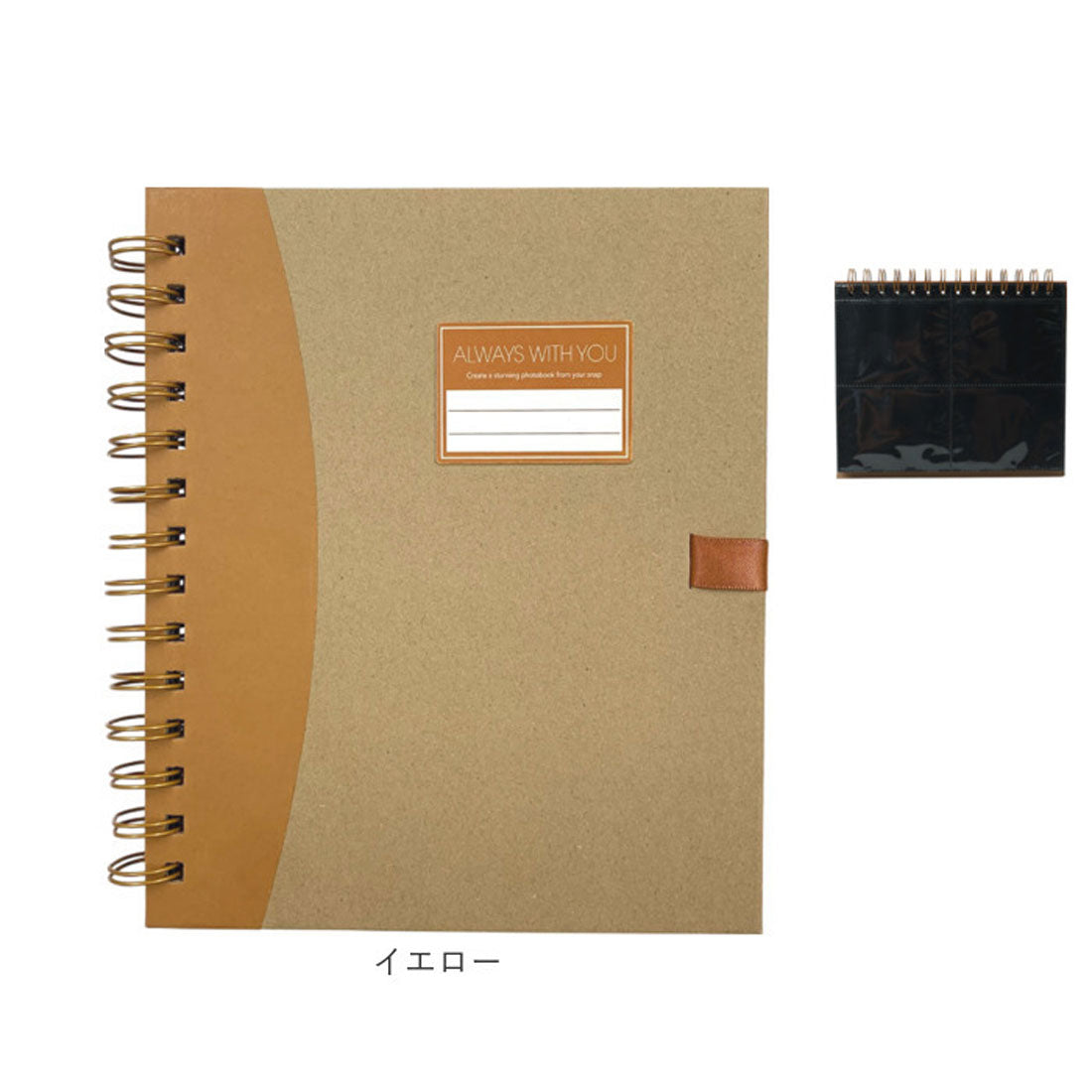 バックヤードファミリー BACKYARD FAMILY 飾れるリングフォトアルバム （イエロー） イエロー