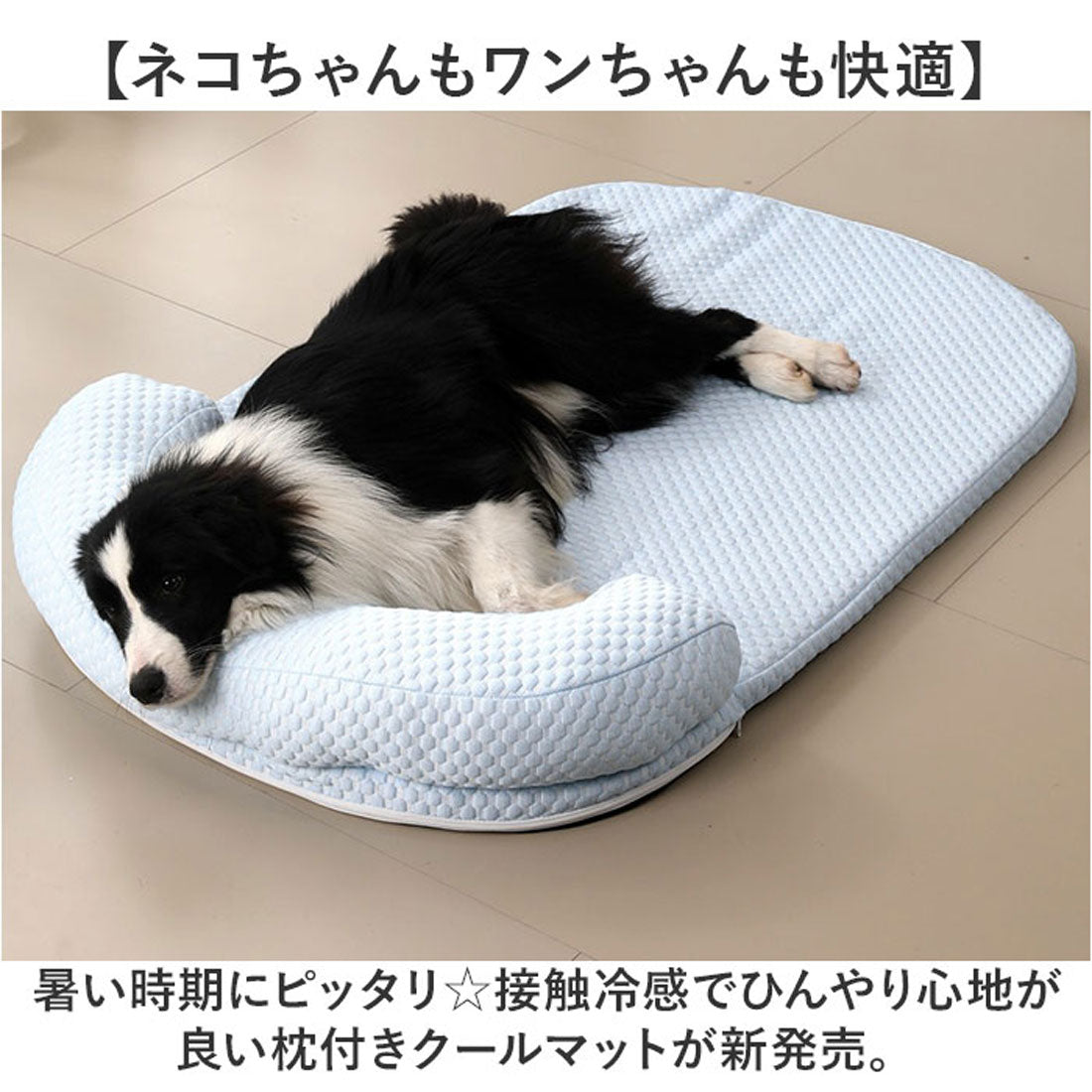 禮樂Rite\u0026Vibe - The Regent Kashmir 35.09 克拉枕形喀什米爾天然皇家藍藍寶石及鑽石戒指估價：港元65,000,000  – 95,000,000 / 美元8,300,000 – 12,000,000 (圖片：佳士得) | Facebook, image size:1100x1100