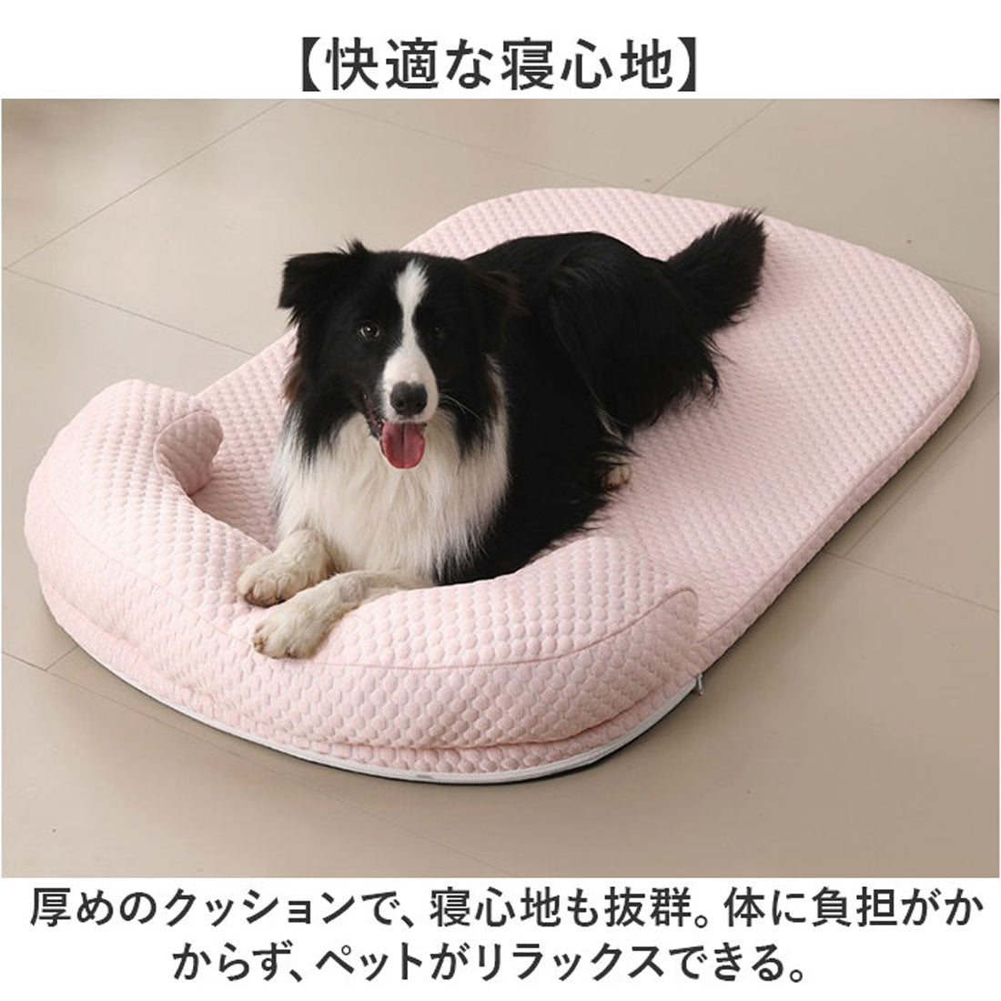 小狗意外被车碾压，它的同伴天天追着这辆车咬。“车主每天换地方停，它都会找到。” 第1眼TV原创采访墨先生： 这只小狗是附近的一条流浪狗，... |  TikTok, image size:1100x1100