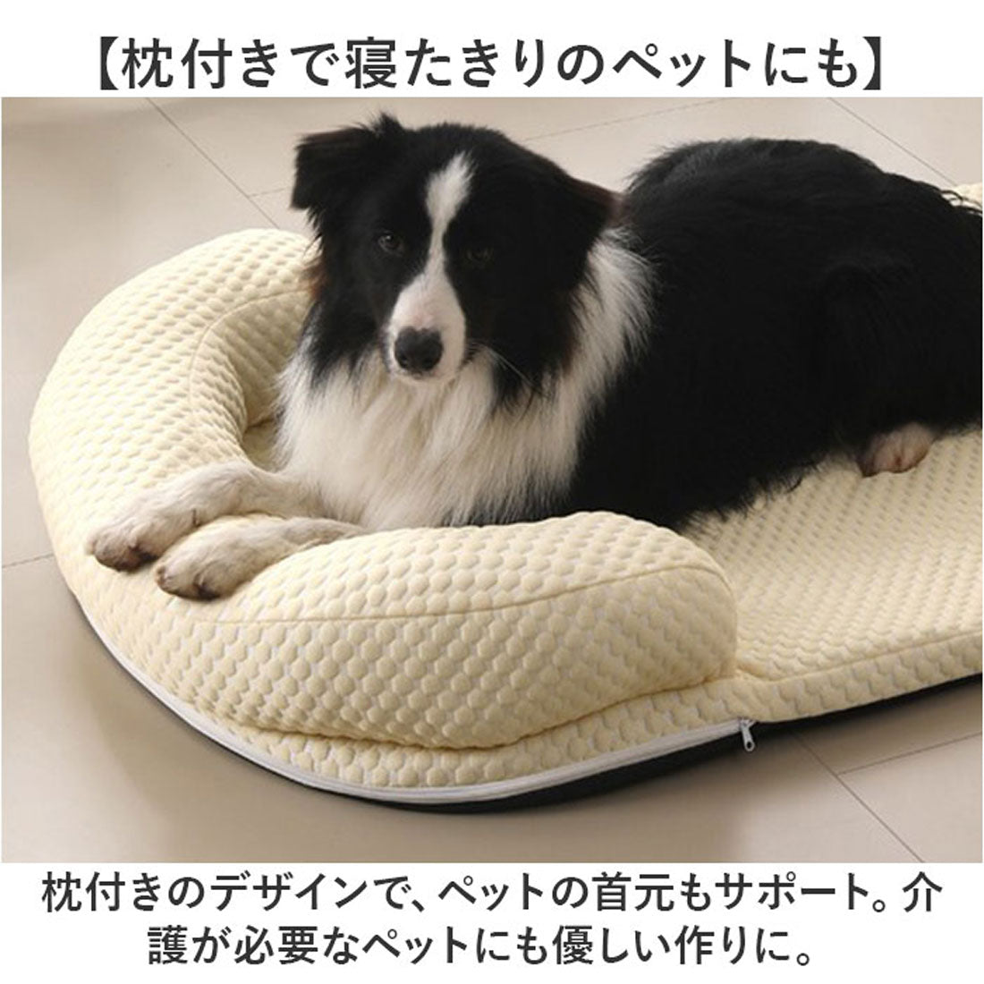 バックヤードファミリー BACKYARD FAMILY ペットマット 枕付きクールマット 【返品不可商品】 （ブルー） ブルー