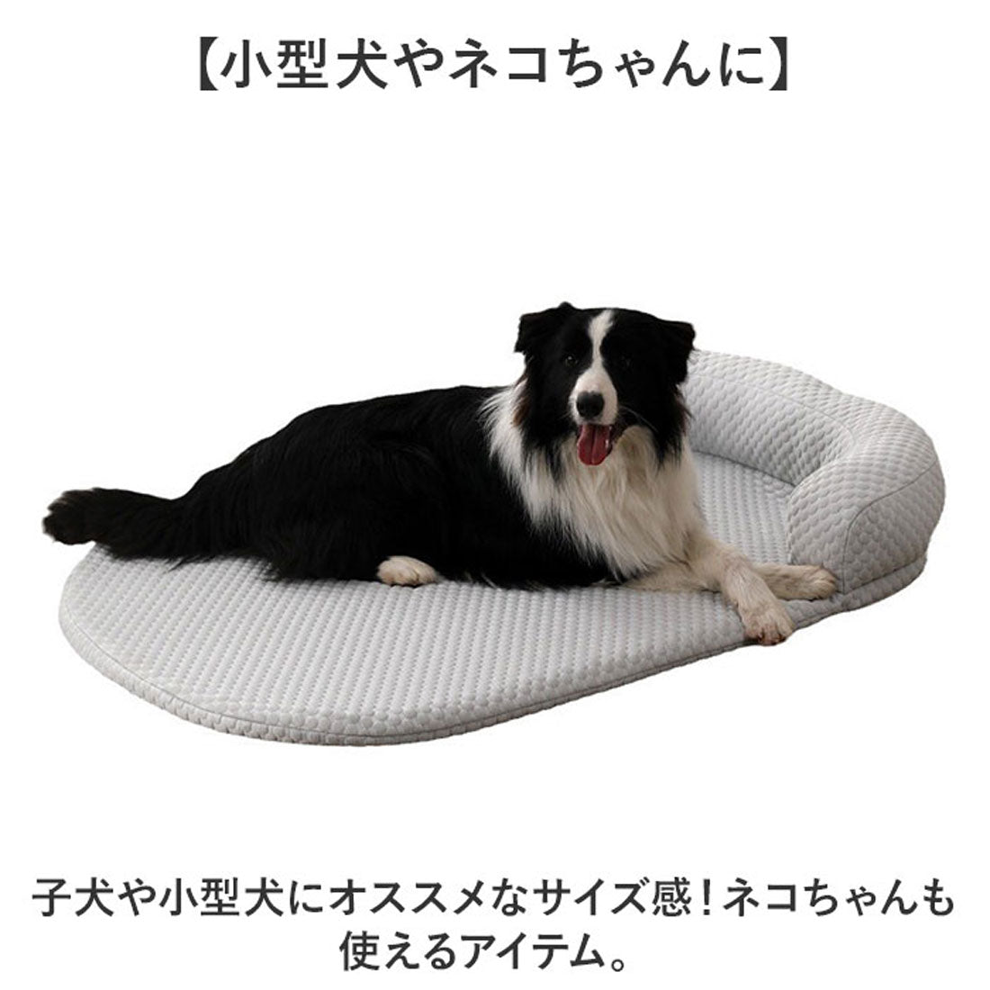 BACKYARD FAMILY 寵物墊帶枕的涼感墊子【不可退貨商品】, image size:1100x1100