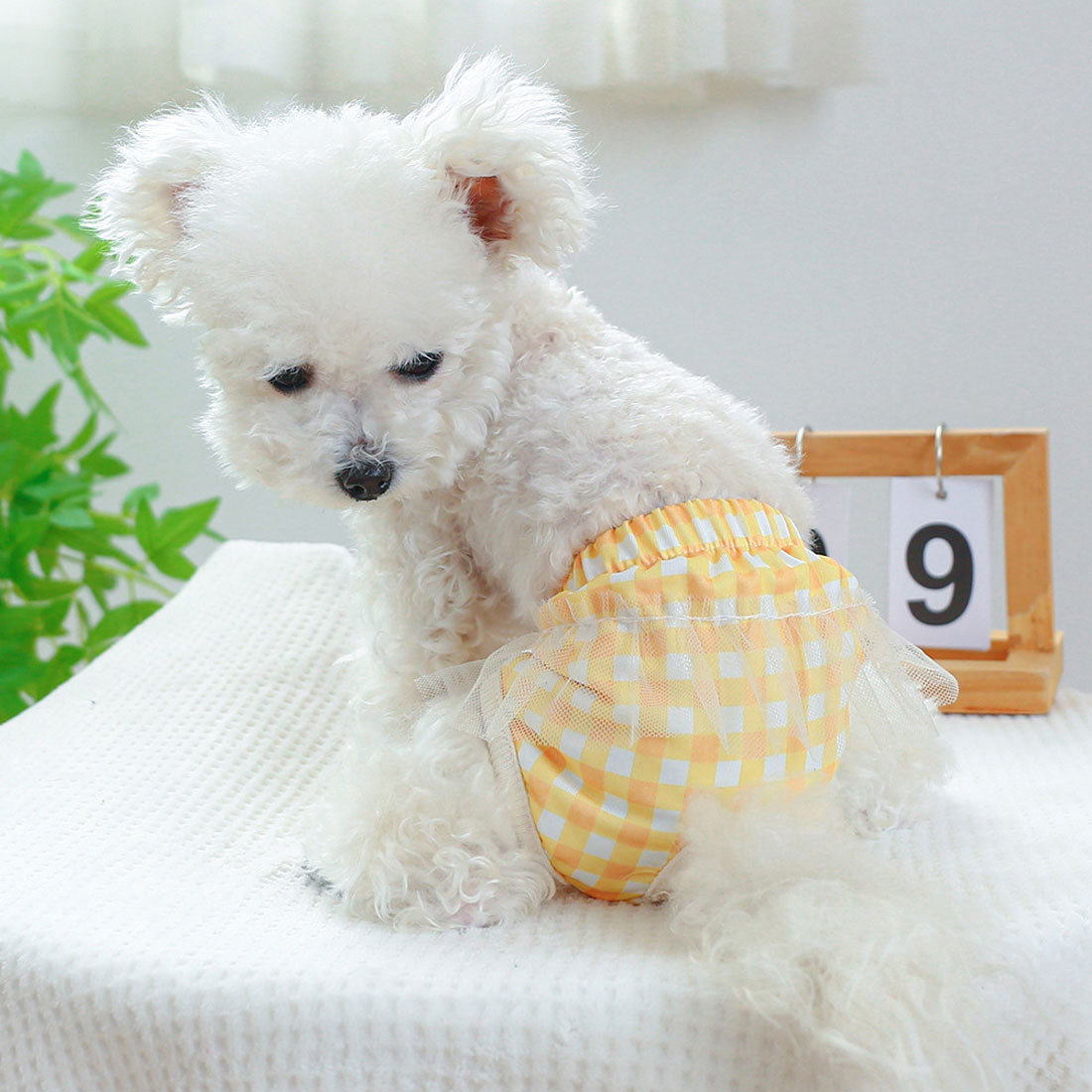 バックヤードファミリー BACKYARD FAMILY ドッグウェア サニタリーパンツ 犬用マナーバンド 【返品不可商品】 （イエロー） イエロー