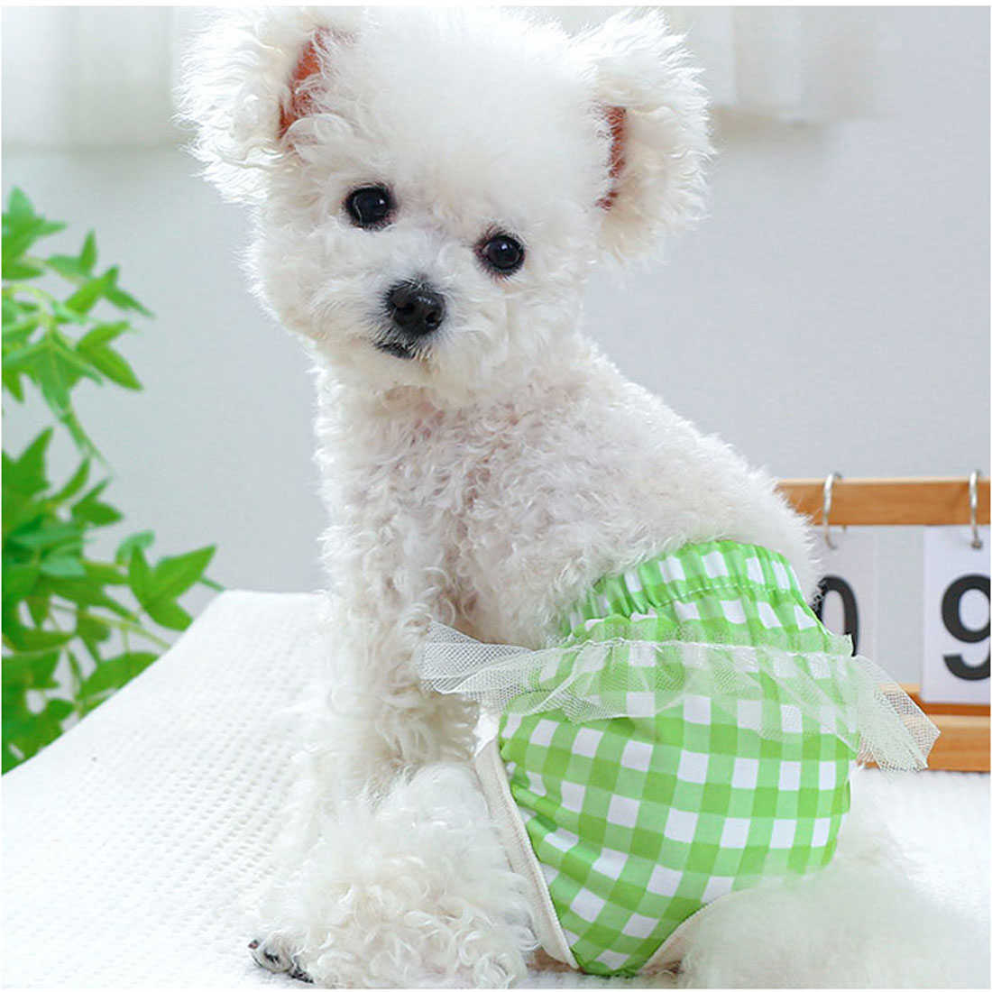 バックヤードファミリー BACKYARD FAMILY ドッグウェア サニタリーパンツ 犬用マナーバンド 【返品不可商品】 （イエロー） イエロー