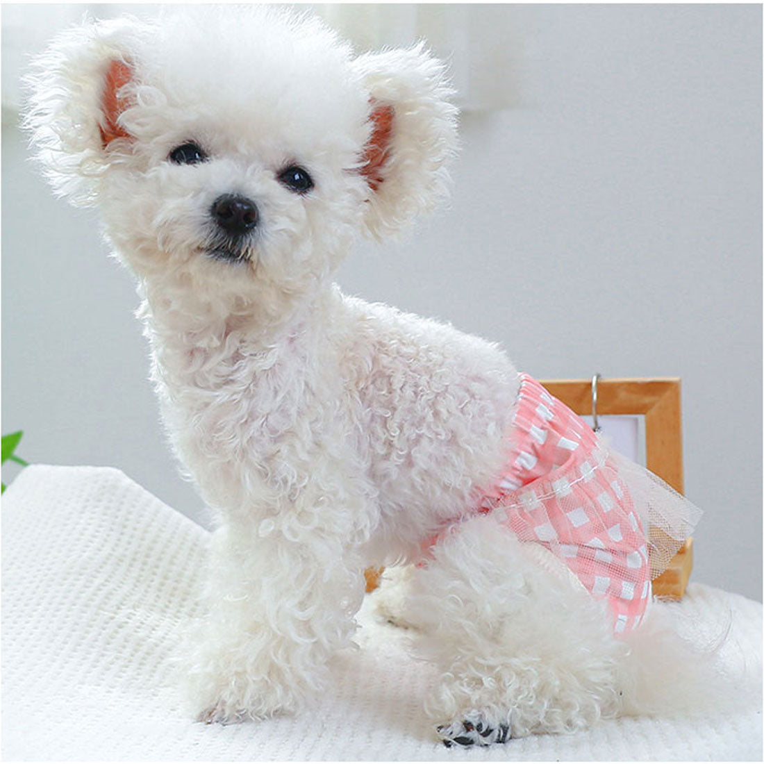 バックヤードファミリー BACKYARD FAMILY ドッグウェア サニタリーパンツ 犬用マナーバンド 【返品不可商品】 （イエロー） イエロー