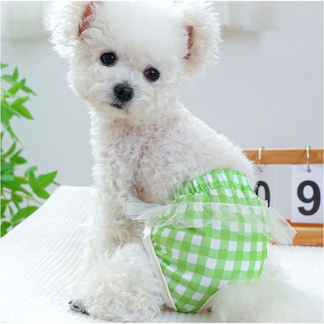 バックヤードファミリー BACKYARD FAMILY ドッグウェア サニタリーパンツ 犬用マナーバンド 【返品不可商品】 （イエロー） イエロー