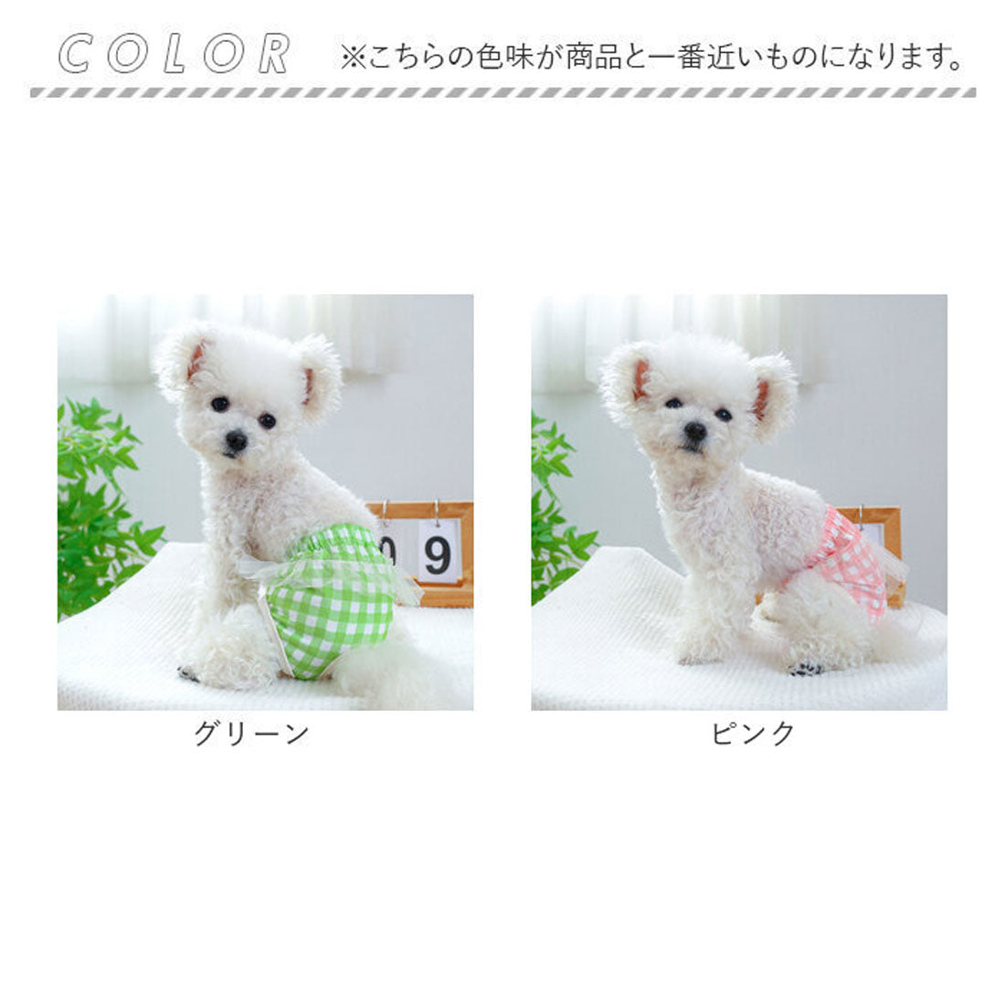 バックヤードファミリー BACKYARD FAMILY ドッグウェア サニタリーパンツ 犬用マナーバンド 【返品不可商品】 （イエロー） イエロー