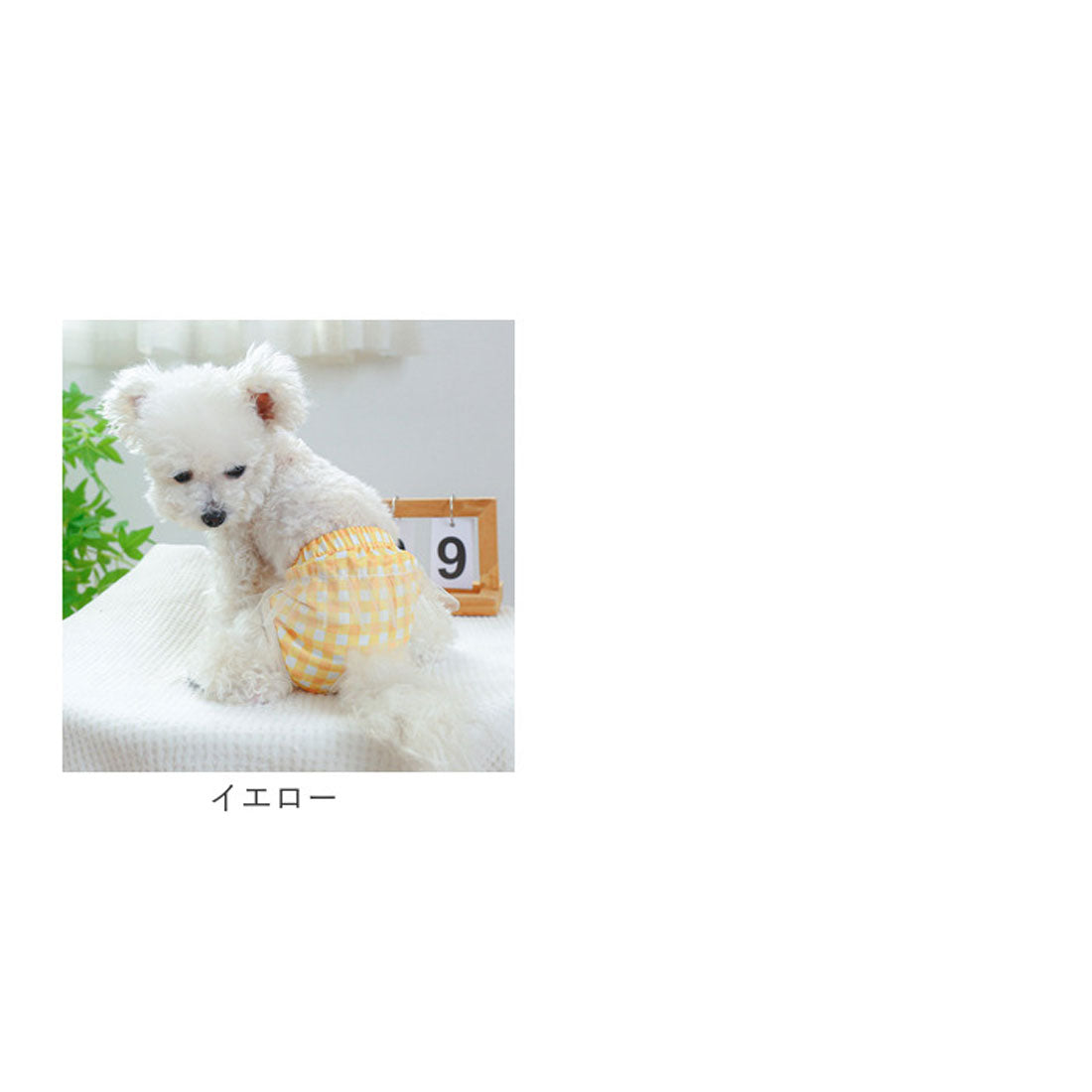 バックヤードファミリー BACKYARD FAMILY ドッグウェア サニタリーパンツ 犬用マナーバンド 【返品不可商品】 （イエロー） イエロー