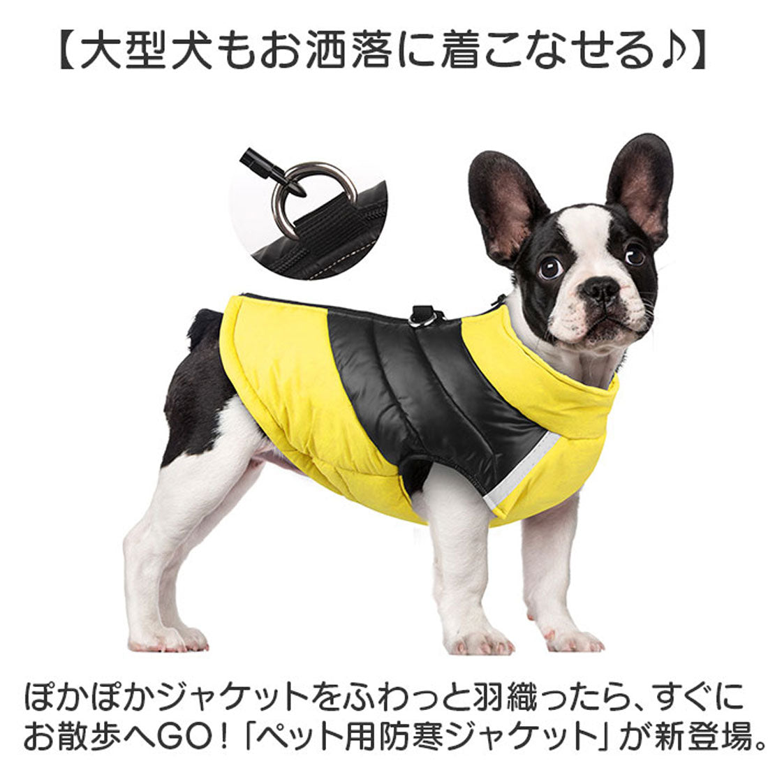 バックヤードファミリー BACKYARD FAMILY ペット 防寒 ジャケット ハーネス 反射 小型犬 大型犬 【返品不可商品】 （レッド） レッド