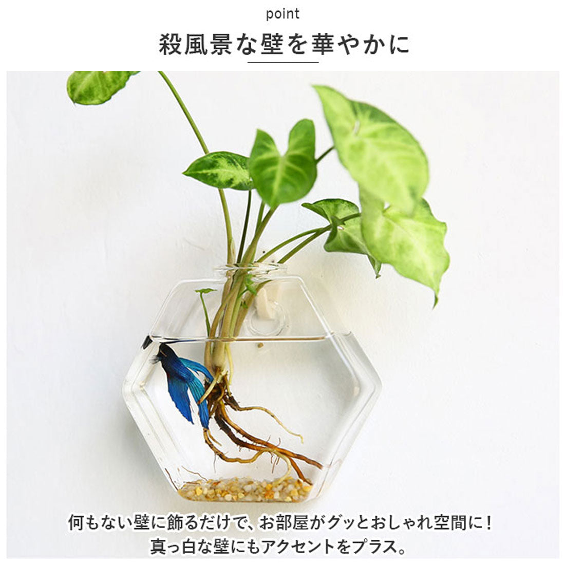 バックヤードファミリー BACKYARD FAMILY 壁掛け花瓶 najshb0700 （タイプJ） タイプJ