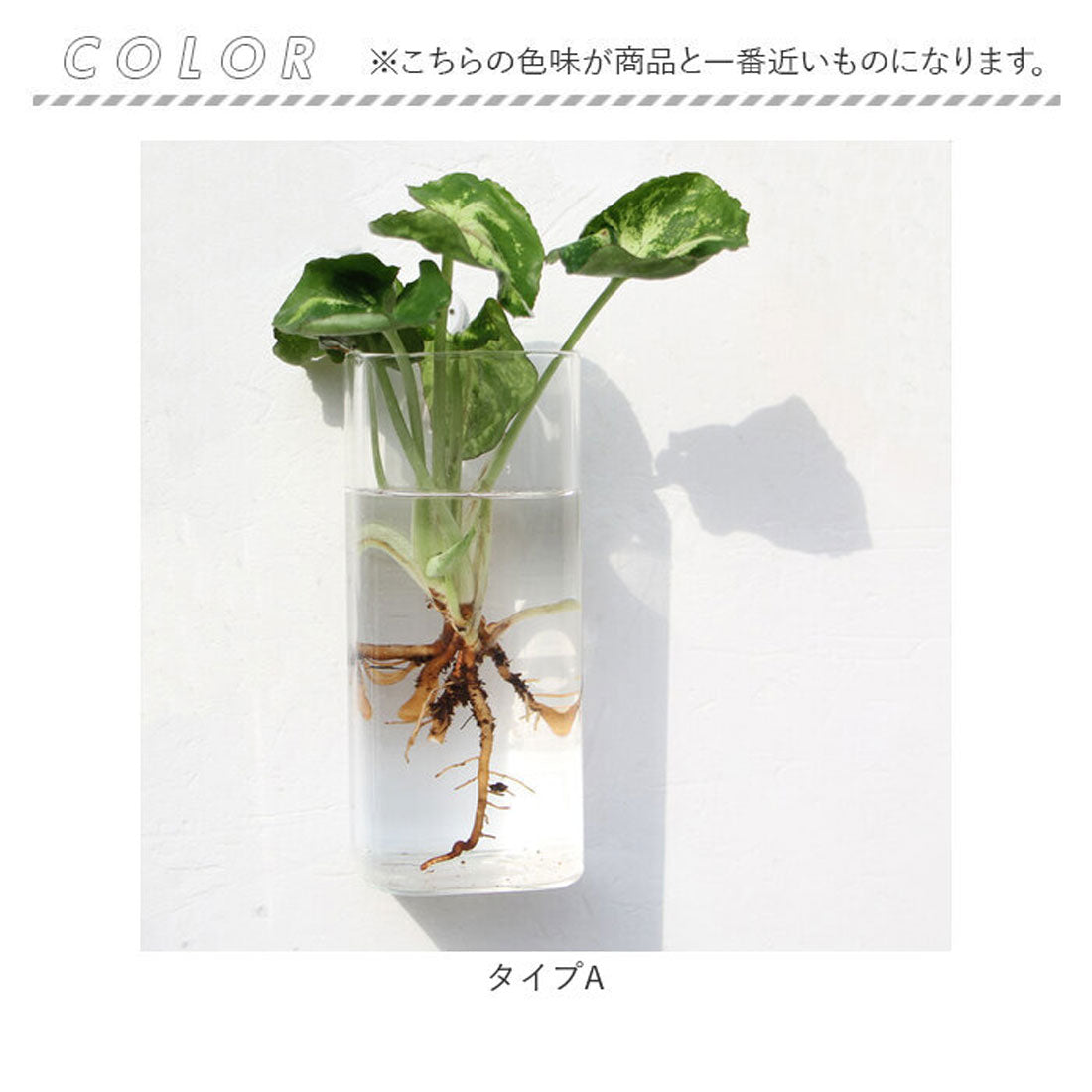 バックヤードファミリー BACKYARD FAMILY 壁掛け花瓶 najshb0700 （タイプJ） タイプJ