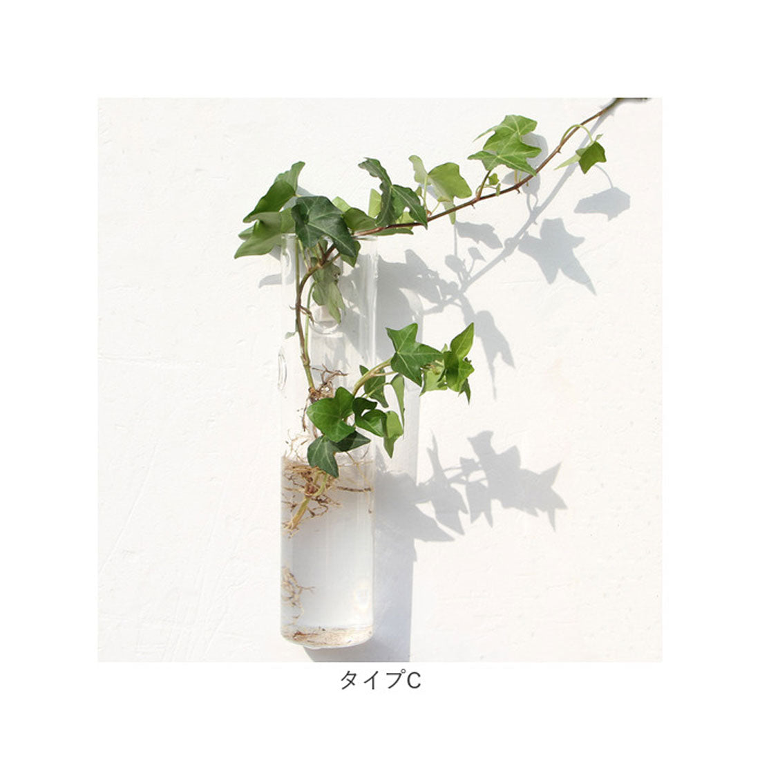バックヤードファミリー BACKYARD FAMILY 壁掛け花瓶 najshb0700 （タイプJ） タイプJ