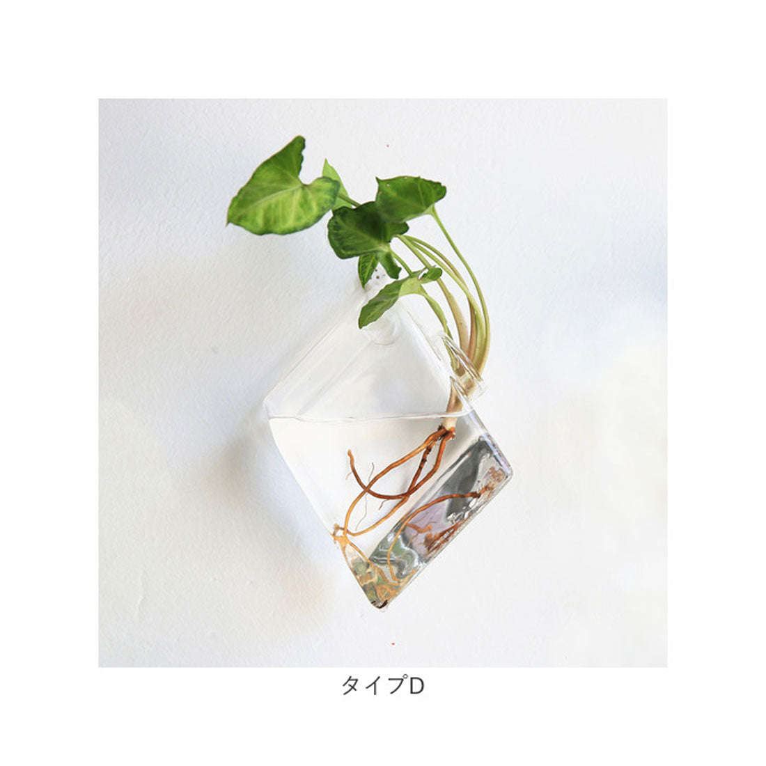 バックヤードファミリー BACKYARD FAMILY 壁掛け花瓶 najshb0700 （タイプJ） タイプJ
