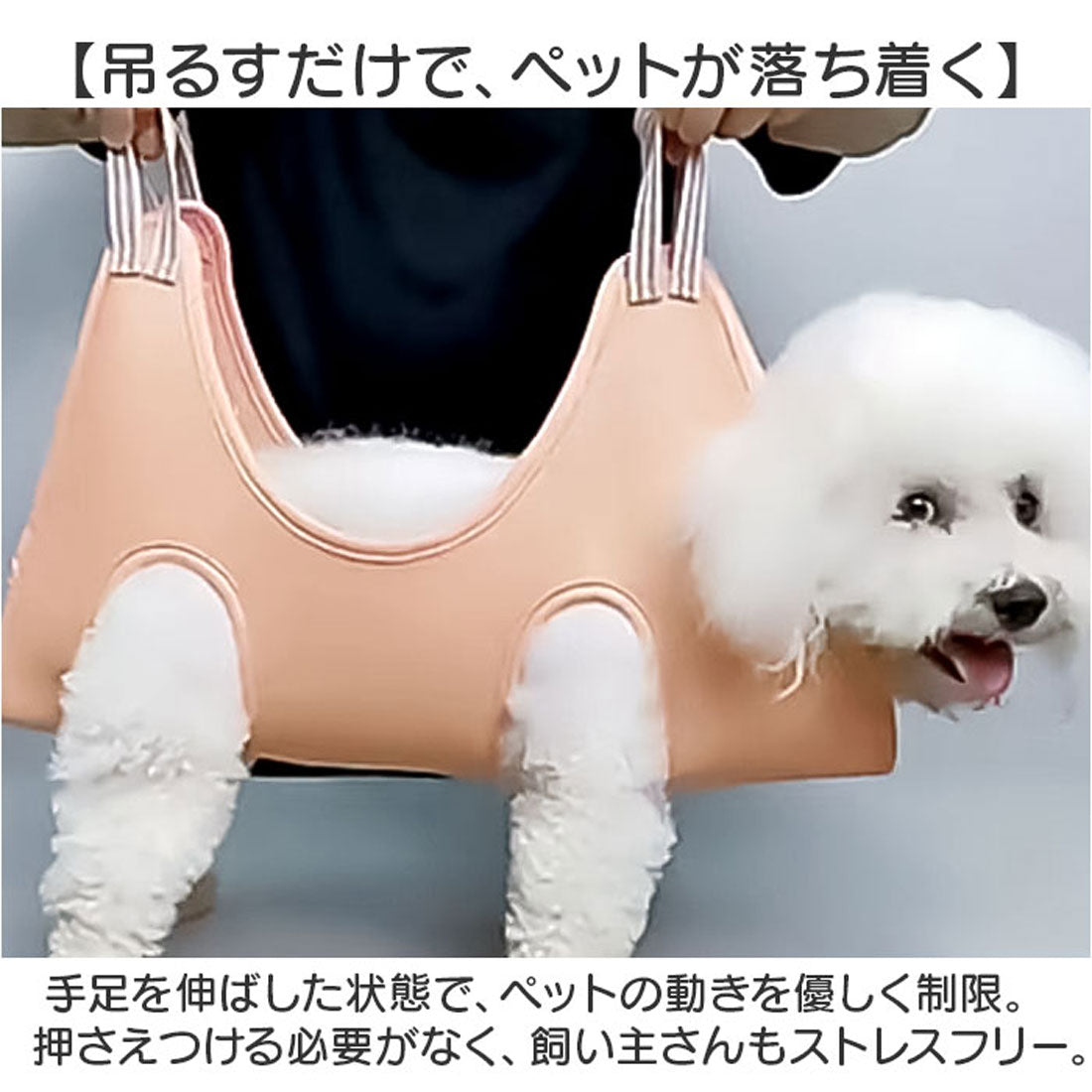 バックヤードファミリー BACKYARD FAMILY グルーミングハンモック ペット 【返品不可商品】 （ミントグリーン） ミントグリーン