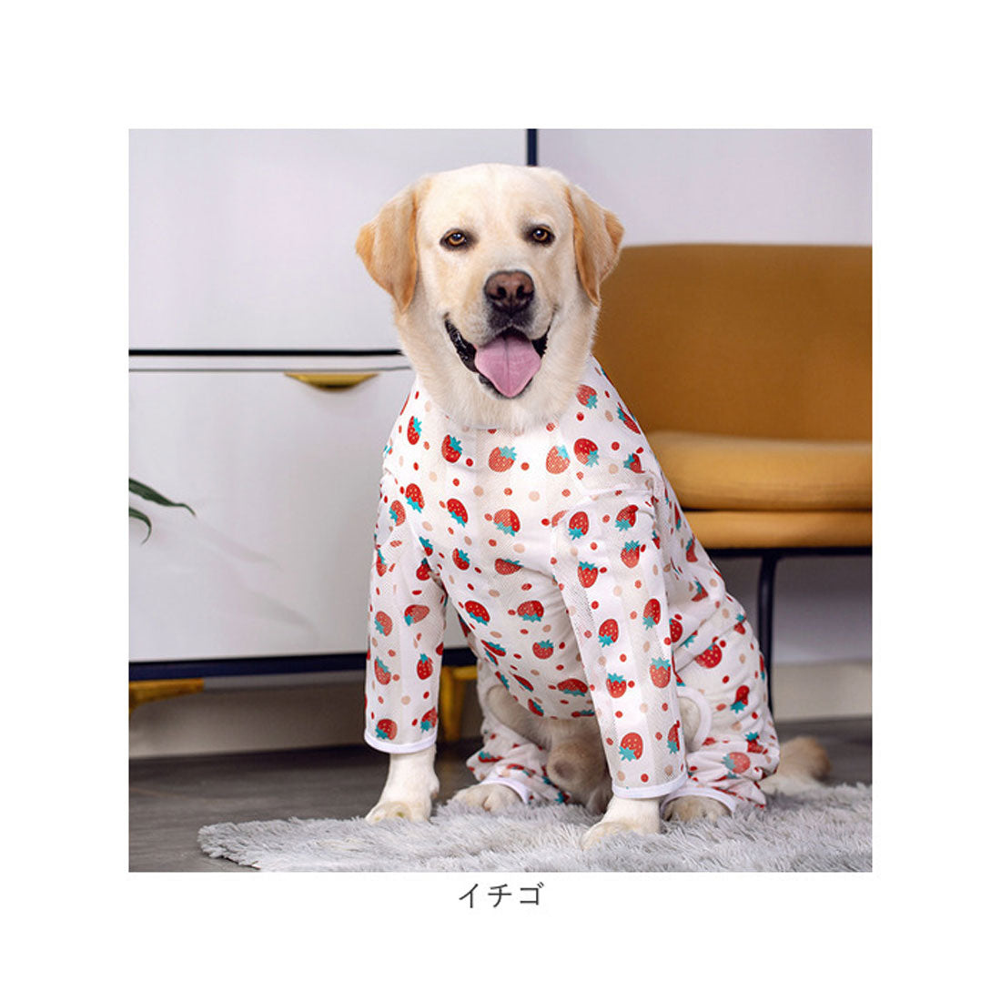 バックヤードファミリー BACKYARD FAMILY 中大型犬の服 春夏秋冬 【返品不可商品】 （ピンク×ヒツジ） ピンク×ヒツジ