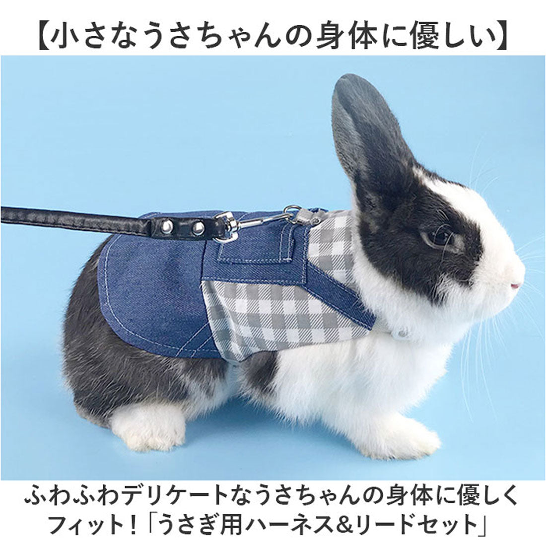 バックヤードファミリー BACKYARD FAMILY ペット 小動物 ウサギ ハーネス リード 【返品不可商品】 （グレー×チェック） グレー×チェック