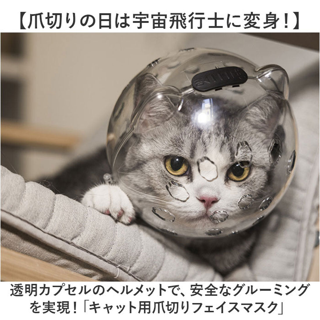 バックヤードファミリー BACKYARD FAMILY 猫用品 爪切り マスク 【返品不可商品】 （クリア） クリア