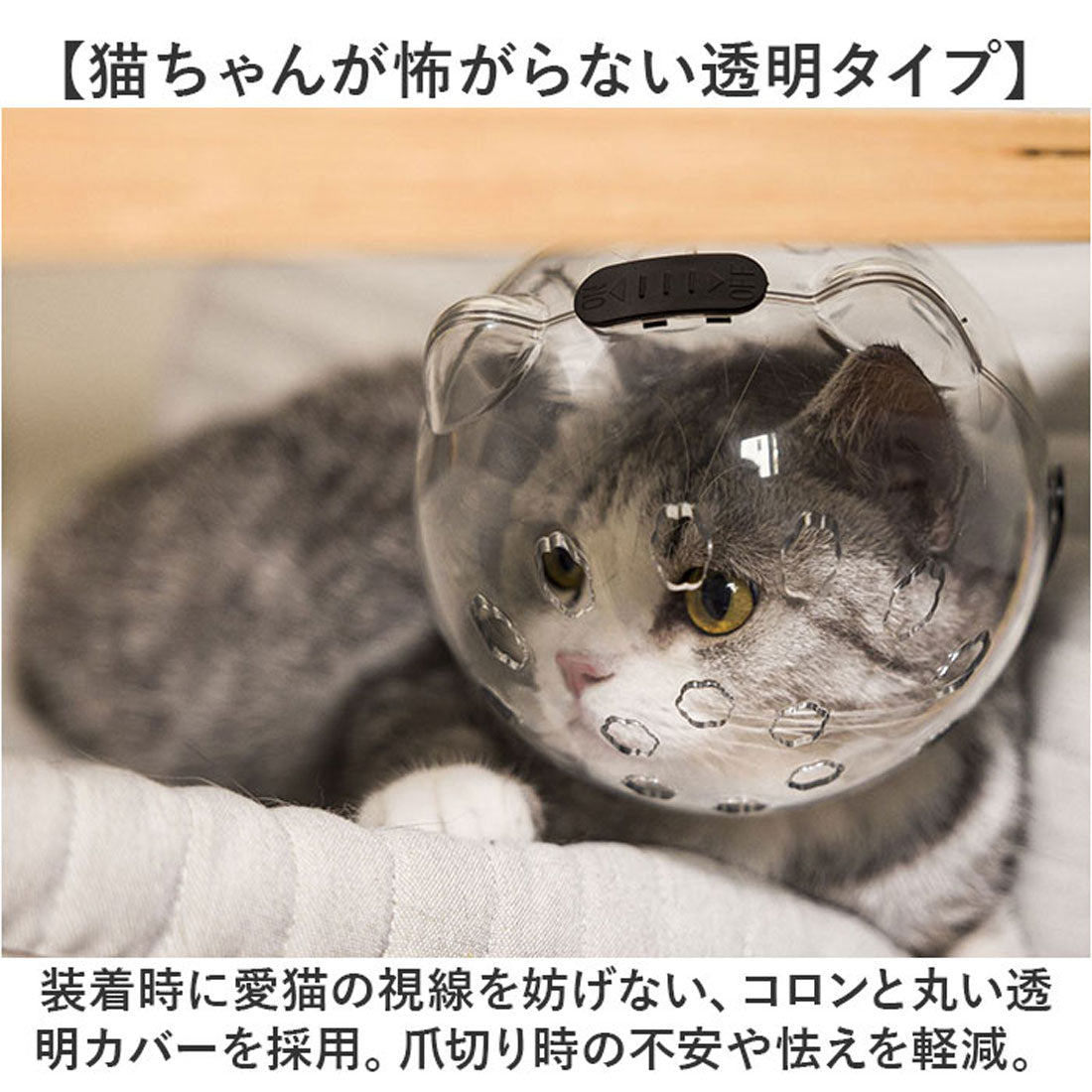 バックヤードファミリー BACKYARD FAMILY 猫用品 爪切り マスク 【返品不可商品】 （クリア） クリア