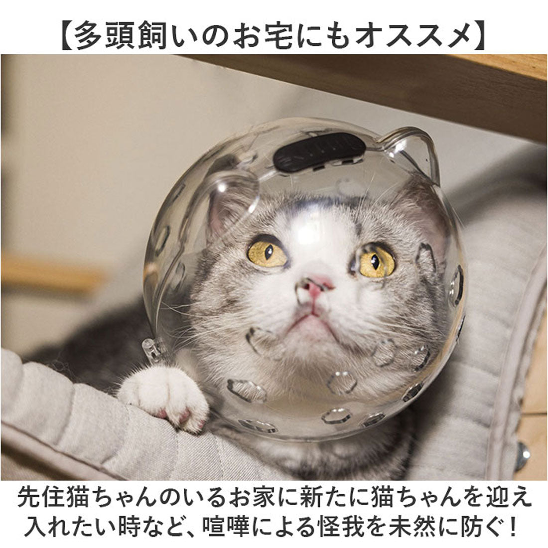 バックヤードファミリー BACKYARD FAMILY 猫用品 爪切り マスク 【返品不可商品】 （クリア） クリア