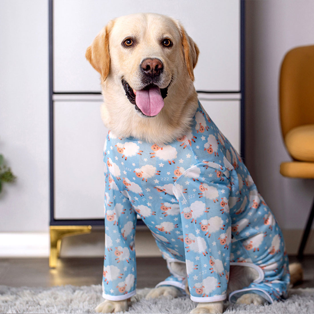 バックヤードファミリー BACKYARD FAMILY 中大型犬の服 春夏秋冬 【返品不可商品】 （ブルー×ヒツジ） ブルー×ヒツジ