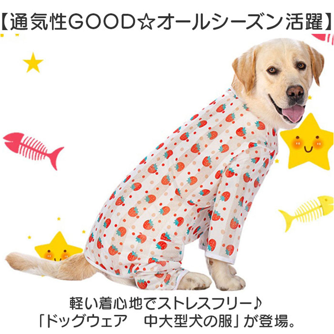 バックヤードファミリー BACKYARD FAMILY 中大型犬の服 春夏秋冬 【返品不可商品】 （ブルー×ヒツジ） ブルー×ヒツジ