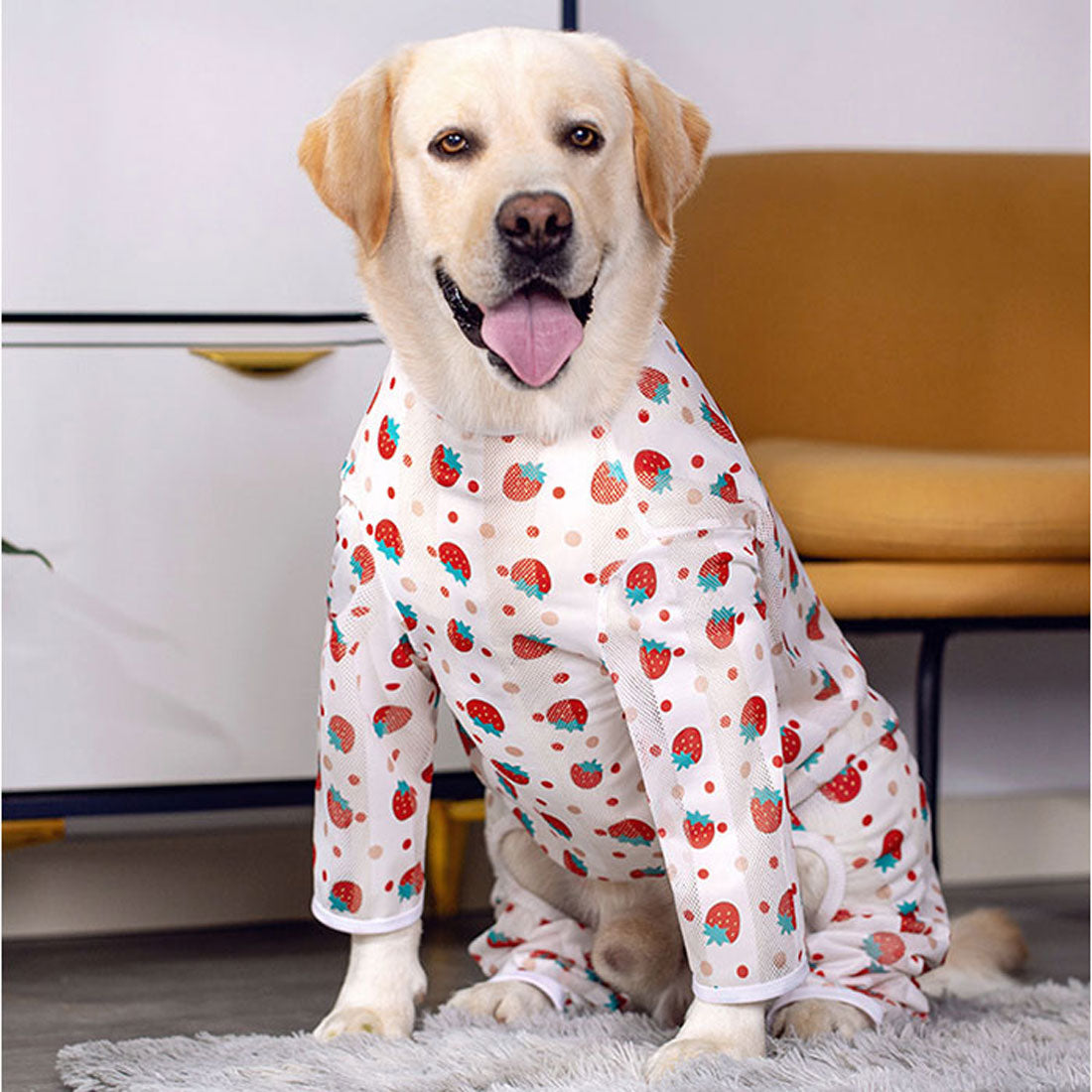 バックヤードファミリー BACKYARD FAMILY 中大型犬の服 春夏秋冬 【返品不可商品】 （ブルー×ヒツジ） ブルー×ヒツジ
