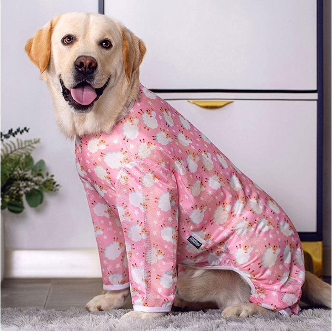 バックヤードファミリー BACKYARD FAMILY 中大型犬の服 春夏秋冬 【返品不可商品】 （ブルー×ヒツジ） ブルー×ヒツジ
