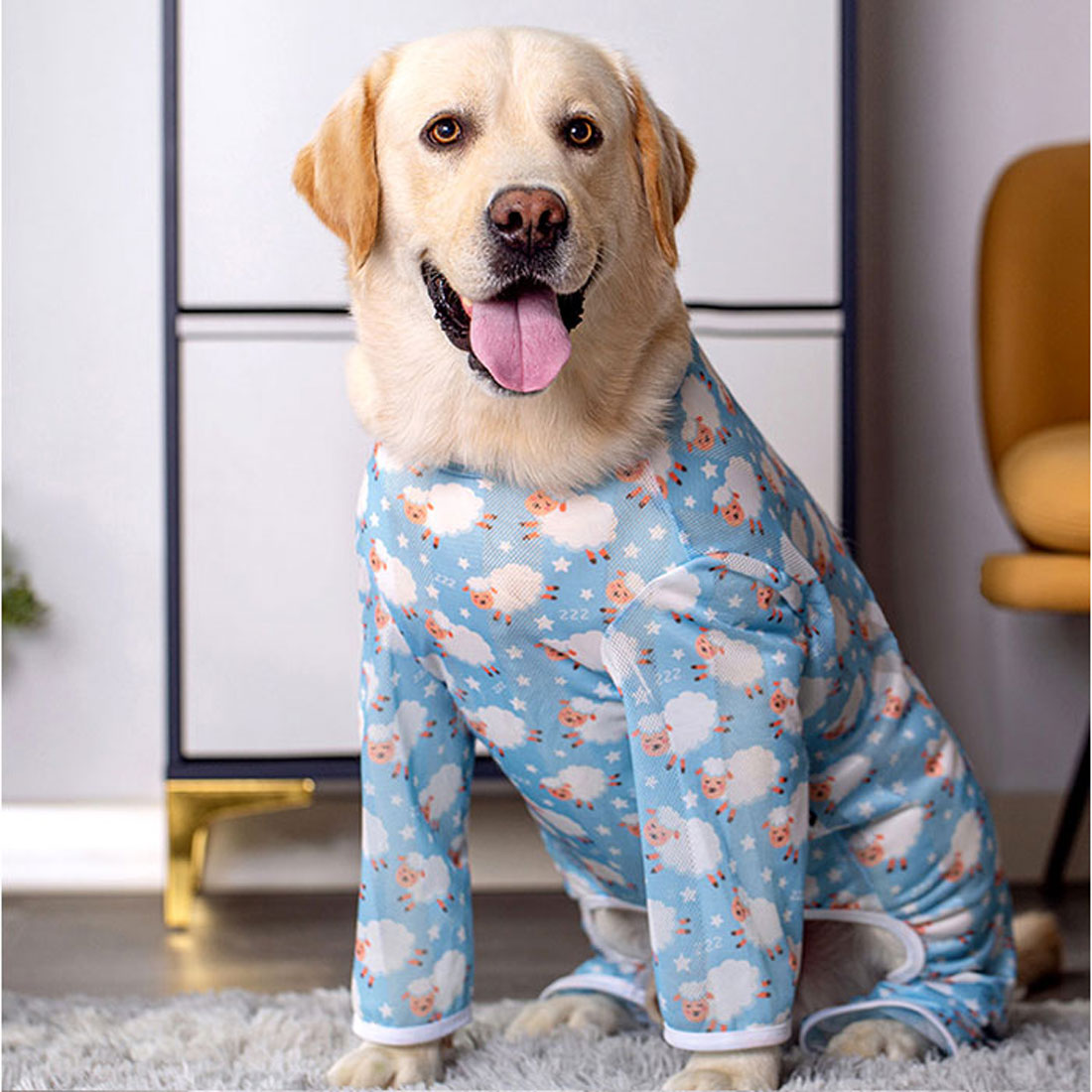 バックヤードファミリー BACKYARD FAMILY 中大型犬の服 春夏秋冬 【返品不可商品】 （ブルー×ヒツジ） ブルー×ヒツジ