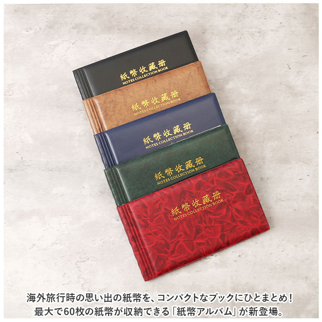 バックヤードファミリー BACKYARD FAMILY 紙幣アルバム 収納ケース money60 （グリーン） グリーン
