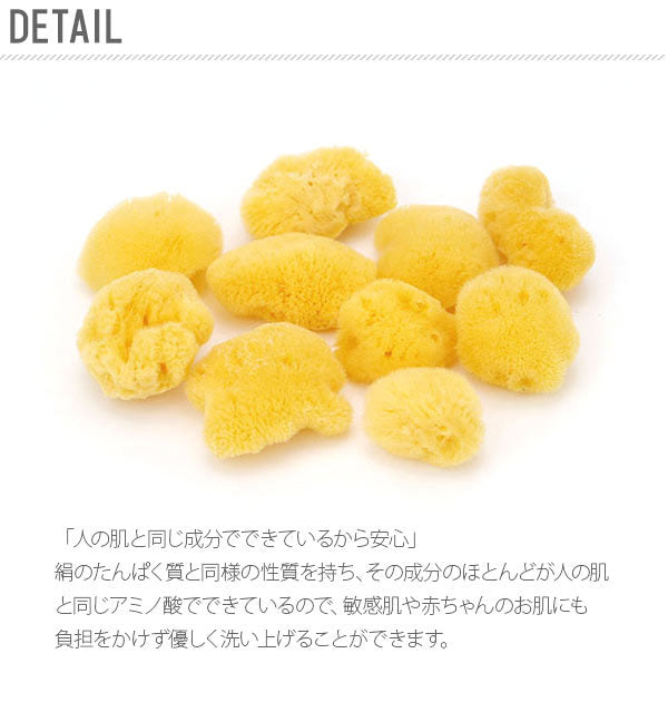 ノーブランド No Brand 天然海綿ハニコム種 袋パッケージ【返品不可商品】 （Lサイズ（14から16cm）） Lサイズ（14から16cm）