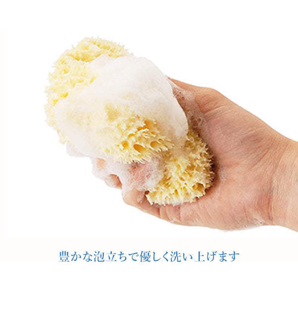 ノーブランド No Brand 天然海綿ハニコム種 袋パッケージ【返品不可商品】 （Lサイズ（14から16cm）） Lサイズ（14から16cm）