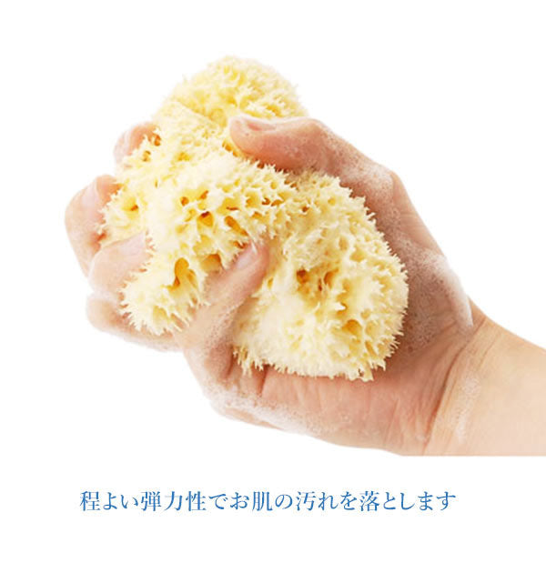 ノーブランド No Brand 天然海綿ハニコム種 袋パッケージ【返品不可商品】 （Lサイズ（14から16cm）） Lサイズ（14から16cm）