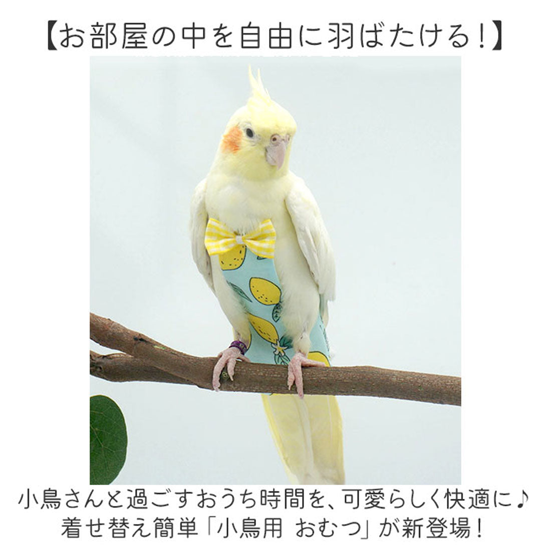 バックヤードファミリー BACKYARD FAMILY 鳥用おむつ インコ おむつ 鳥服 【返品不可商品】 （バナナ） バナナ