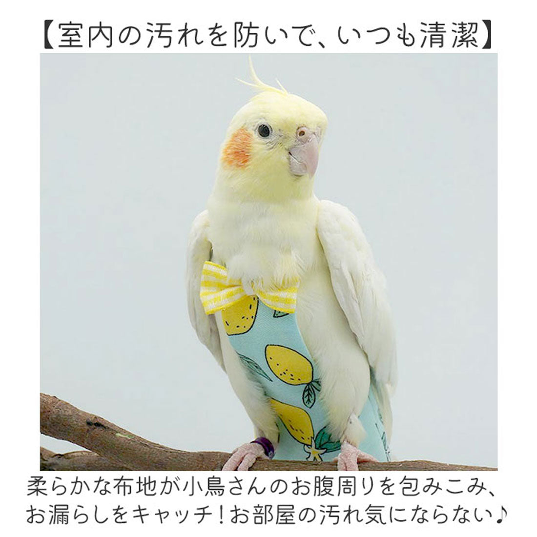 バックヤードファミリー BACKYARD FAMILY 鳥用おむつ インコ おむつ 鳥服 【返品不可商品】 （バナナ） バナナ