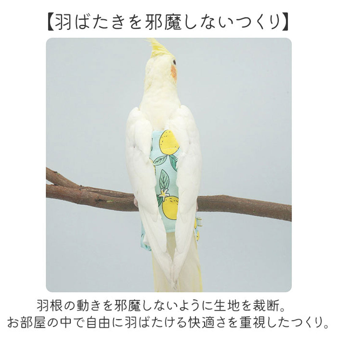 バックヤードファミリー BACKYARD FAMILY 鳥用おむつ インコ おむつ 鳥服 【返品不可商品】 （バナナ） バナナ
