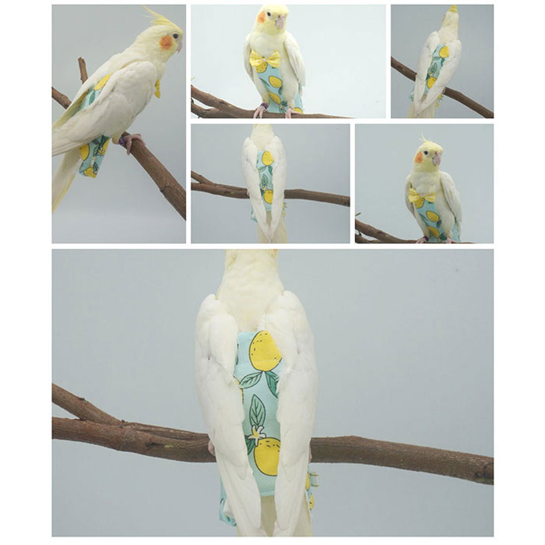 バックヤードファミリー BACKYARD FAMILY 鳥用おむつ インコ おむつ 鳥服 【返品不可商品】 （バナナ） バナナ