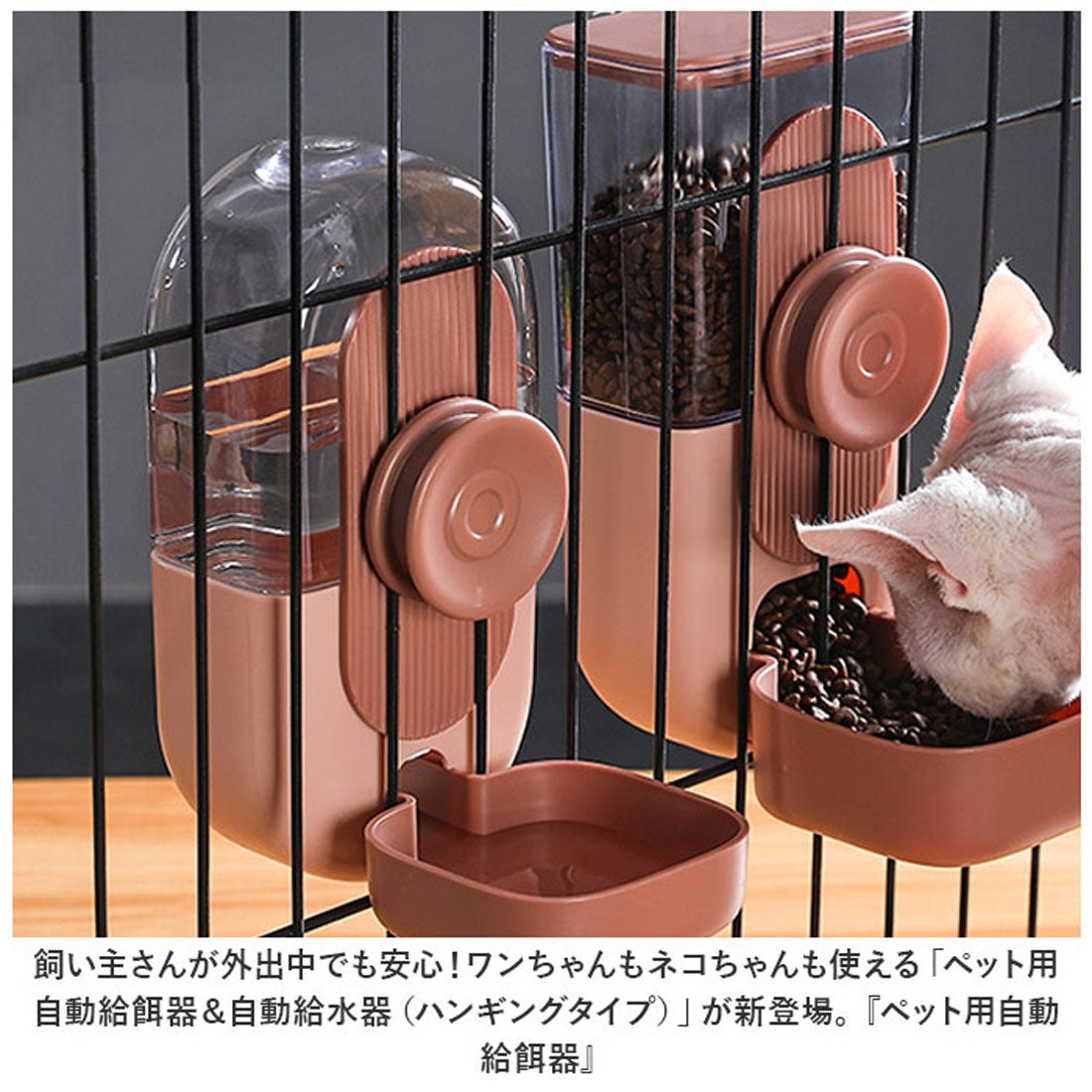 バックヤードファミリー BACKYARD FAMILY ペット 自動給水器 自動給餌器 pk0012 【返品不可商品】 （グリーン） グリーン