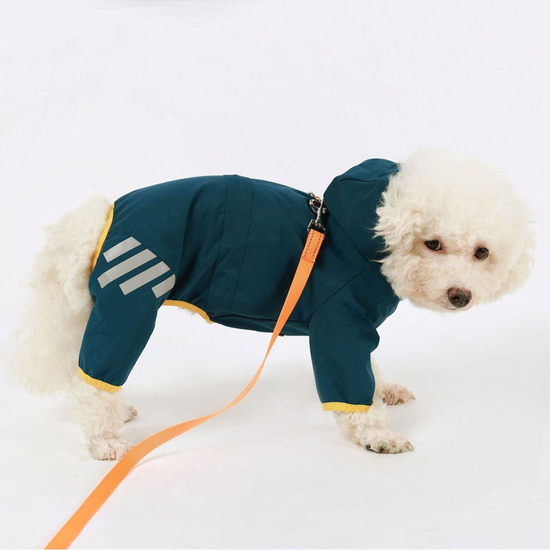 バックヤードファミリー BACKYARD FAMILY 犬 レインコート フード付き 【返品不可商品】 （ブルー） ブルー