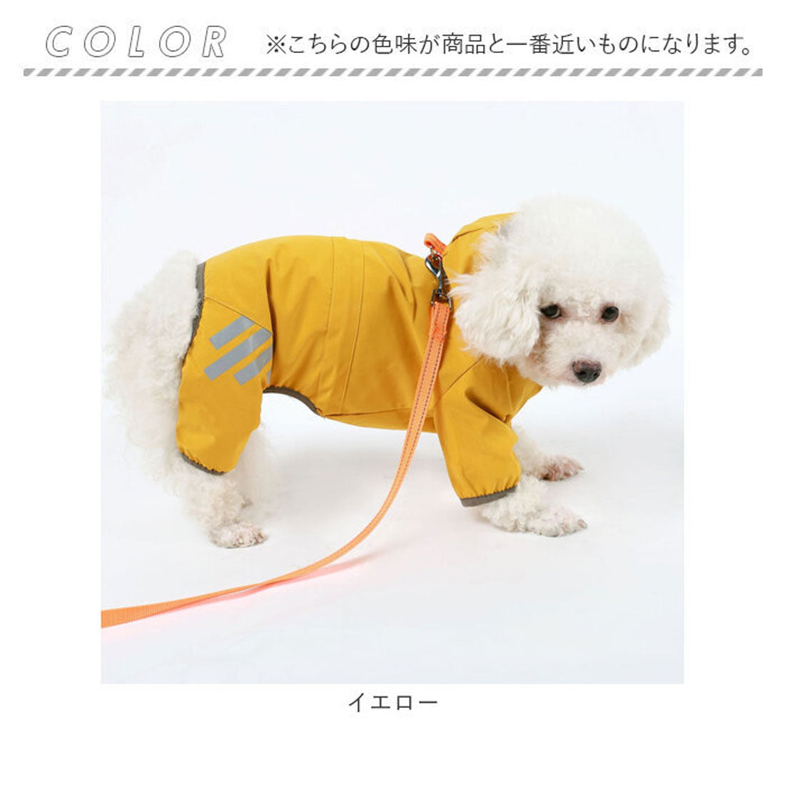 バックヤードファミリー BACKYARD FAMILY 犬 レインコート フード付き 【返品不可商品】 （ブルー） ブルー