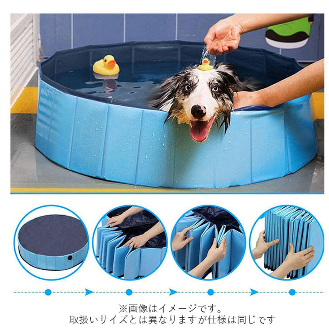 バックヤードファミリー BACKYARD FAMILY 折り畳み ペットプール 160 petpool01【返品不可商品】
