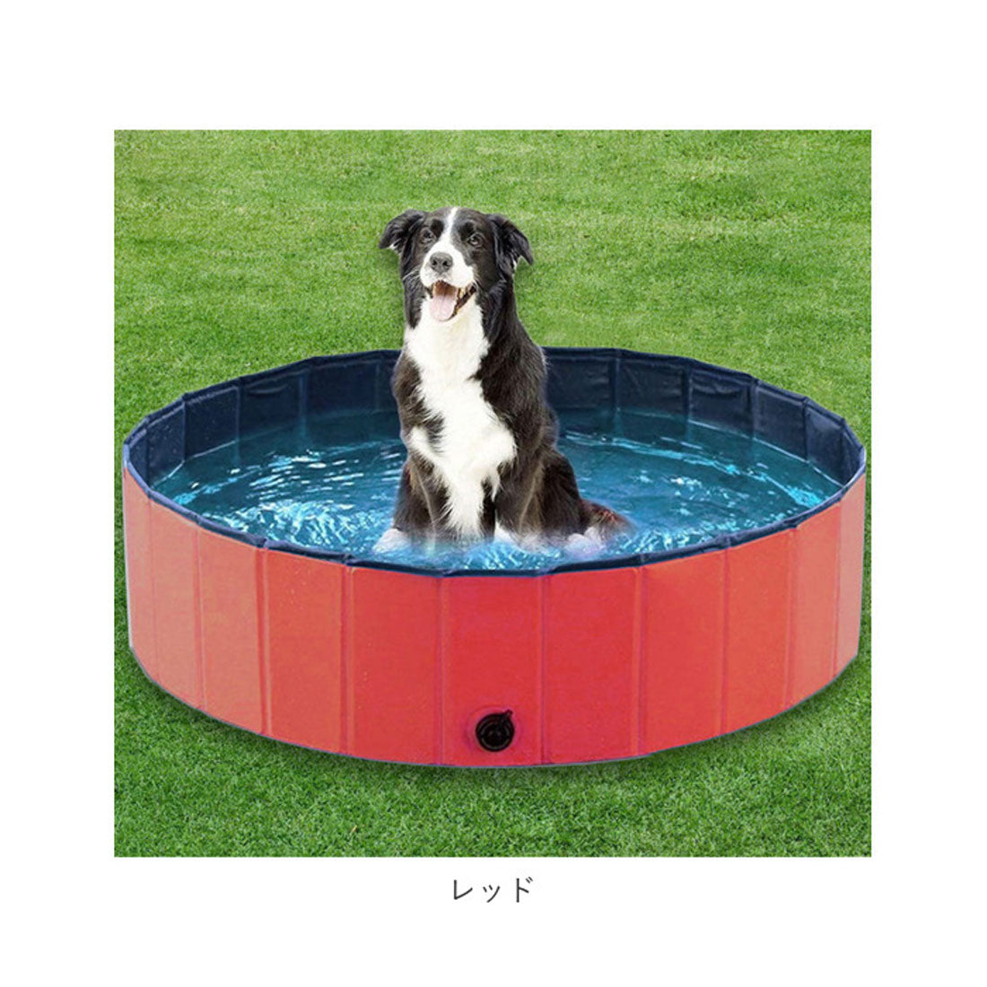 バックヤードファミリー BACKYARD FAMILY 折り畳み ペットプール 160 petpool01【返品不可商品】