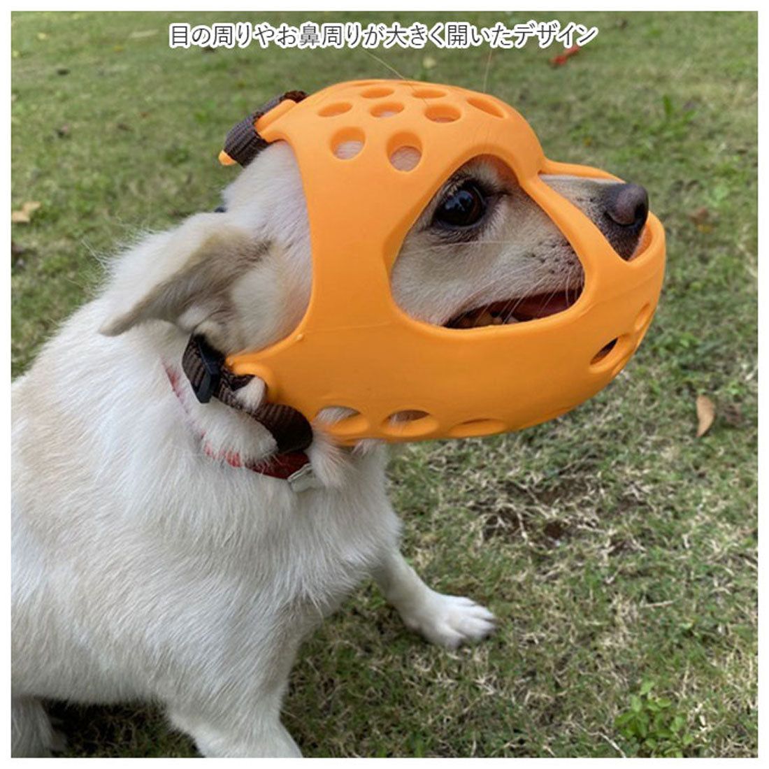 Backyard Family BACKYARD FAMILY Dog Muzzle Short-Nosed Breed kdogmaskhd025【Non-returnable item】