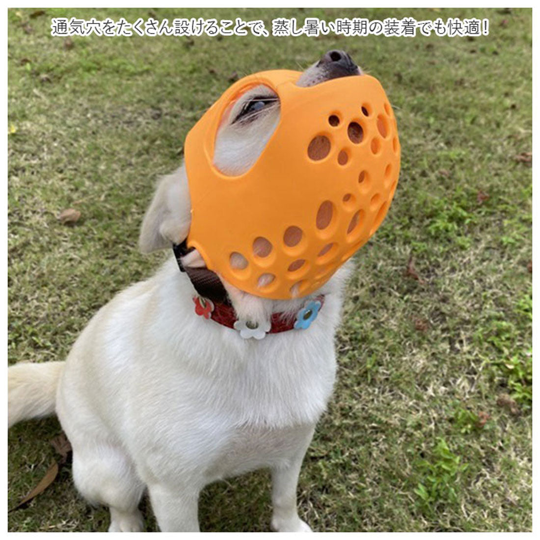 Backyard Family BACKYARD FAMILY Dog Muzzle Short-Nosed Breed kdogmaskhd025【Non-returnable item】