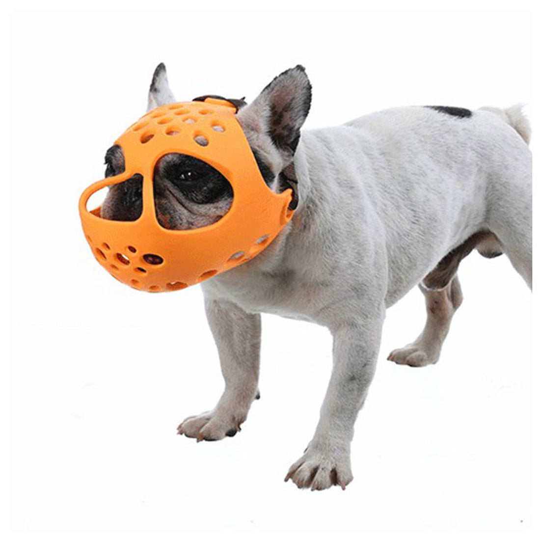 Backyard Family BACKYARD FAMILY Dog Muzzle Short-Nosed Breed kdogmaskhd025【Non-returnable item】