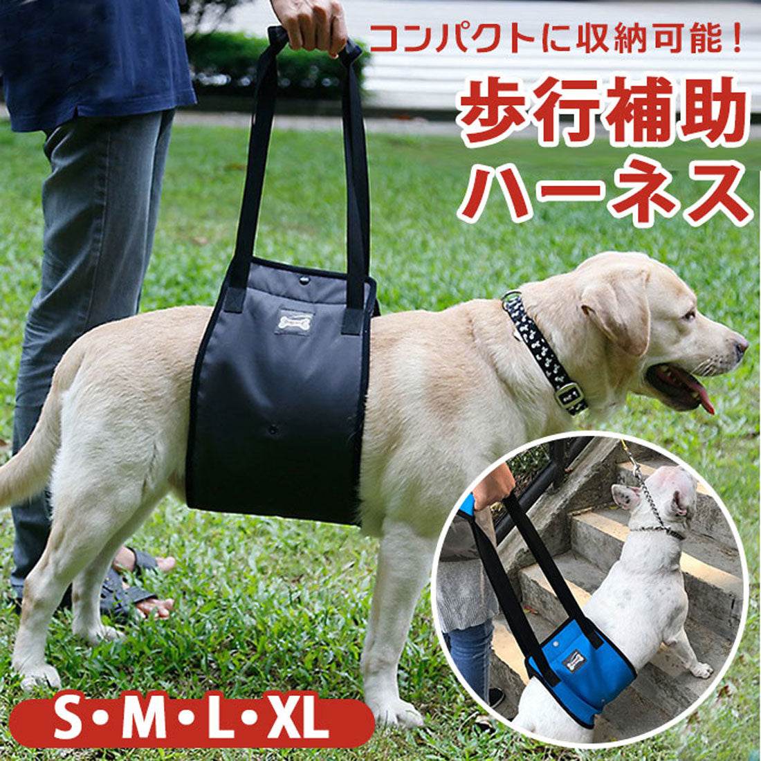 BACKYARD FAMILY 狗狗護理背帶老狗寵物用品【不可退貨商品】