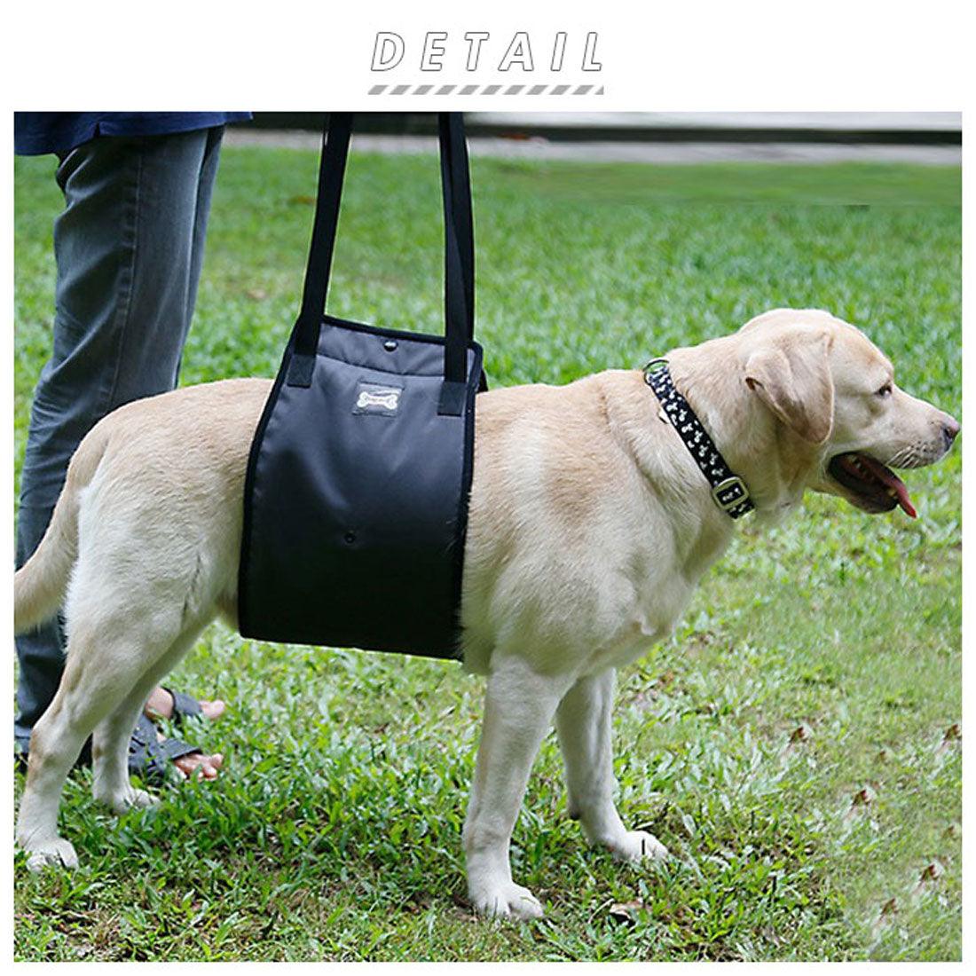 BACKYARD FAMILY 狗狗護理背帶老狗寵物用品【不可退貨商品】