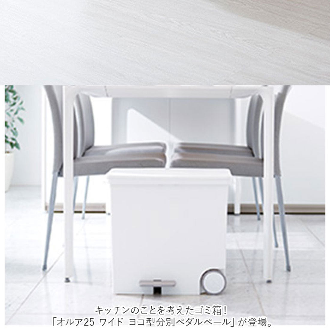バックヤードファミリー BACKYARD FAMILY 分別ゴミ箱 スリム ペダル 横 25L （ホワイト） ホワイト